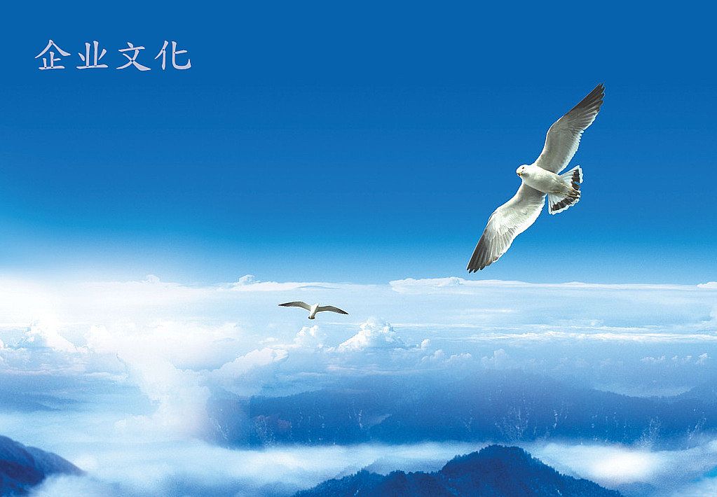 企業文化發展